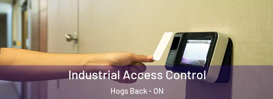  Industrial Access Control Hogs Back - ON