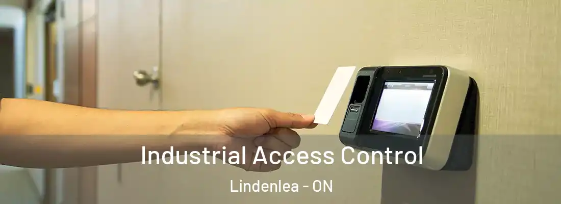  Industrial Access Control Lindenlea - ON