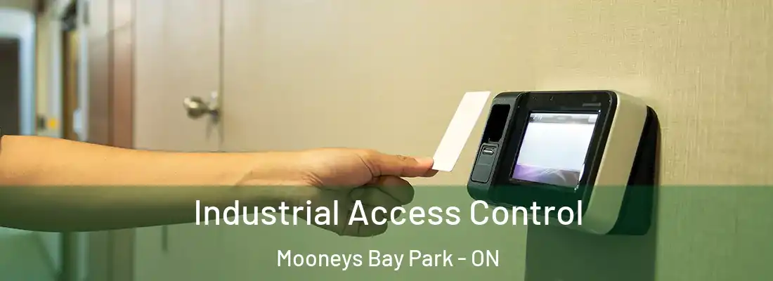  Industrial Access Control Mooneys Bay Park - ON