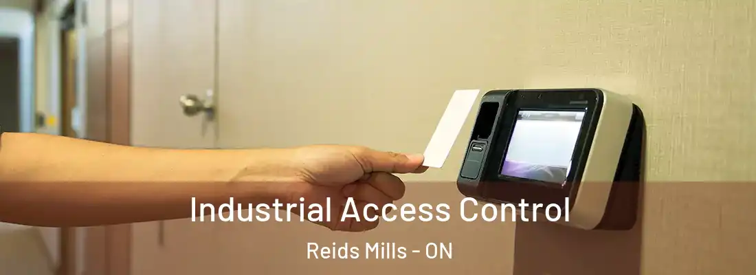  Industrial Access Control Reids Mills - ON