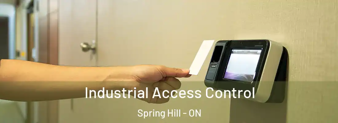  Industrial Access Control Spring Hill - ON
