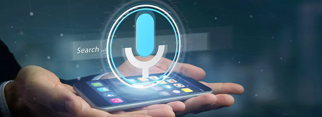 Enhance Security with Voice Recognition Access Systems in Mohr Corners, ON
