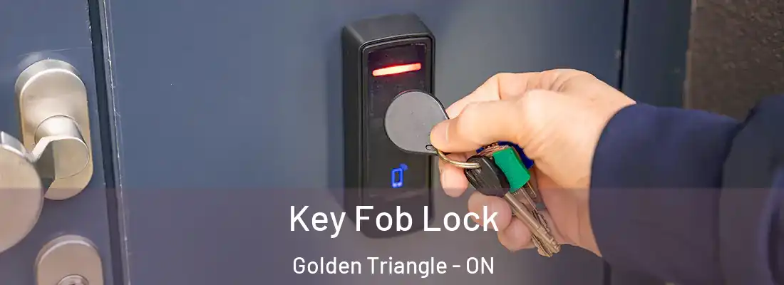  Key Fob Lock Golden Triangle - ON