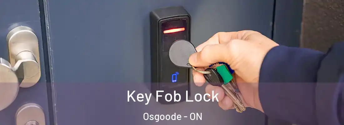  Key Fob Lock Osgoode - ON