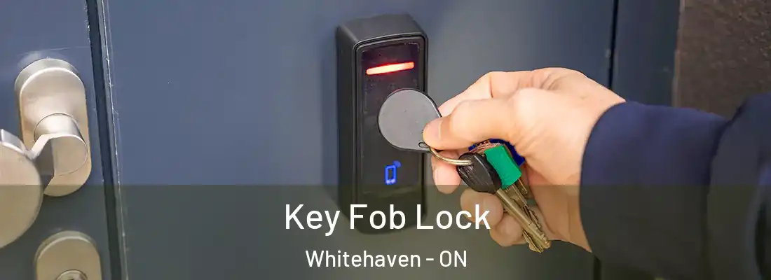  Key Fob Lock Whitehaven - ON