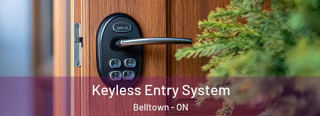  Keyless Entry System Belltown - ON