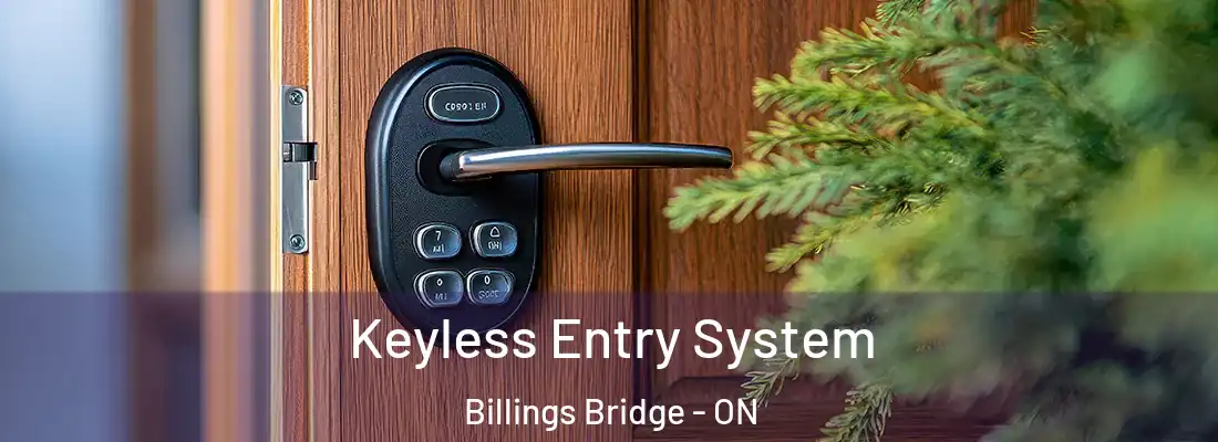  Keyless Entry System Billings Bridge - ON