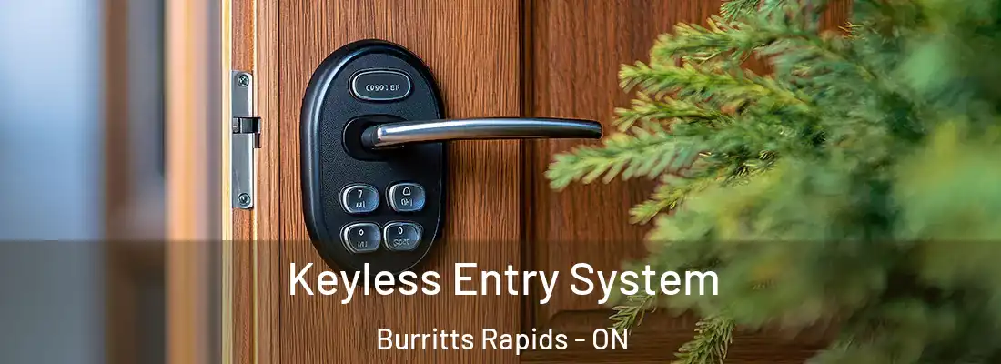  Keyless Entry System Burritts Rapids - ON