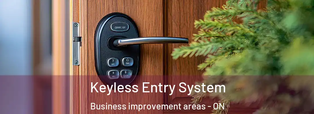  Keyless Entry System Business improvement areas - ON