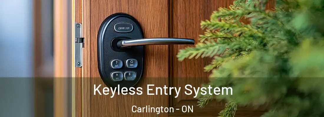  Keyless Entry System Carlington - ON