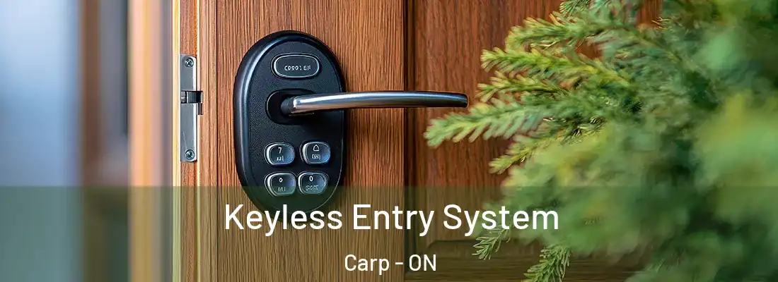  Keyless Entry System Carp - ON