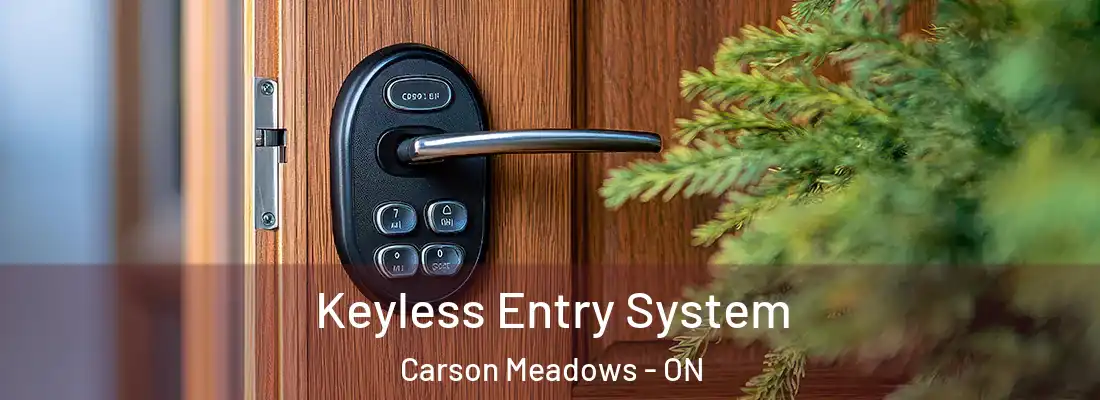 Keyless Entry System Carson Meadows - ON