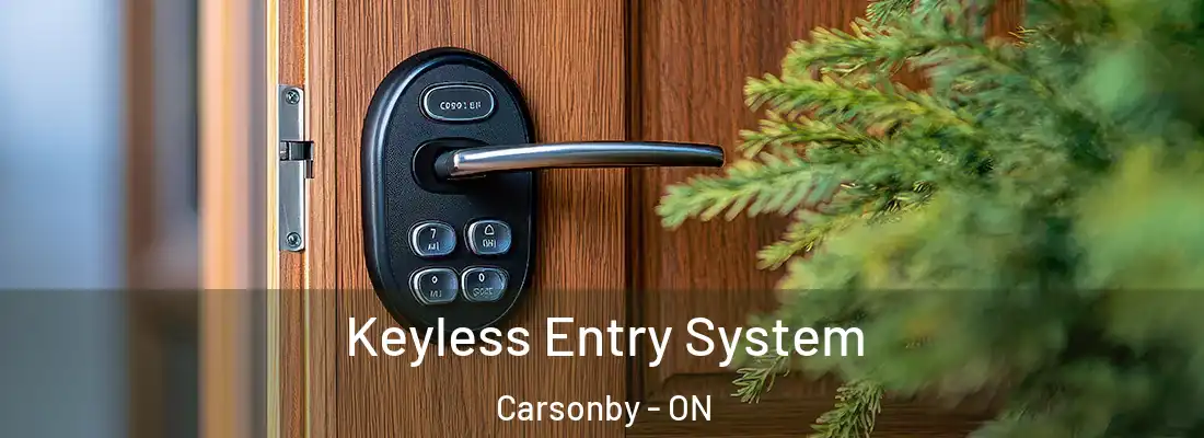  Keyless Entry System Carsonby - ON