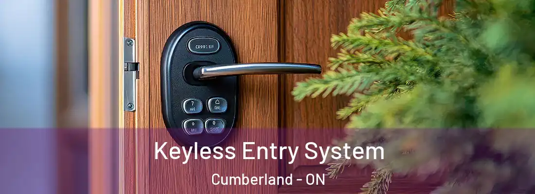  Keyless Entry System Cumberland - ON