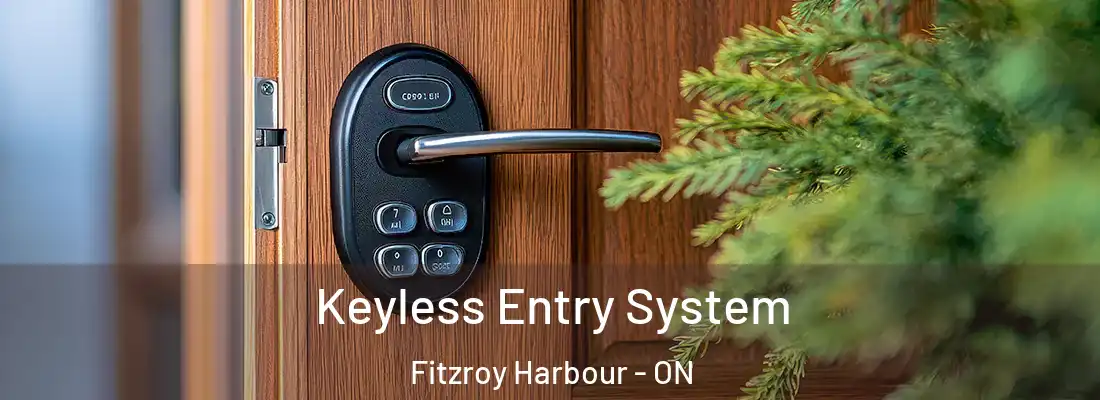  Keyless Entry System Fitzroy Harbour - ON