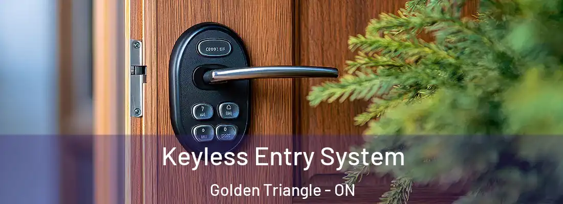  Keyless Entry System Golden Triangle - ON