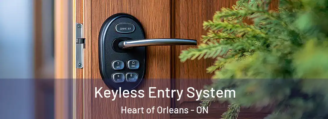  Keyless Entry System Heart of Orleans - ON