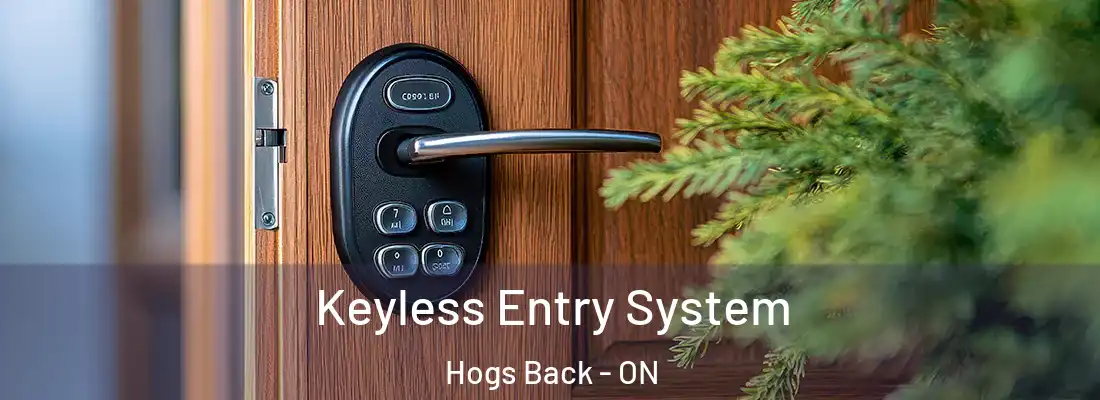  Keyless Entry System Hogs Back - ON