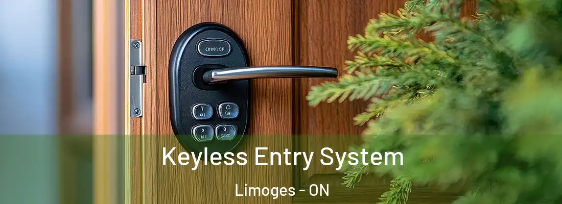  Keyless Entry System Limoges - ON