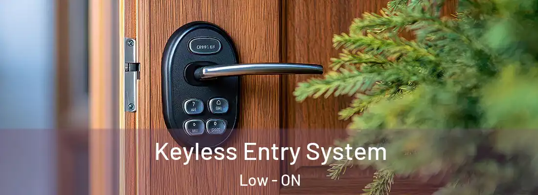  Keyless Entry System Low - ON