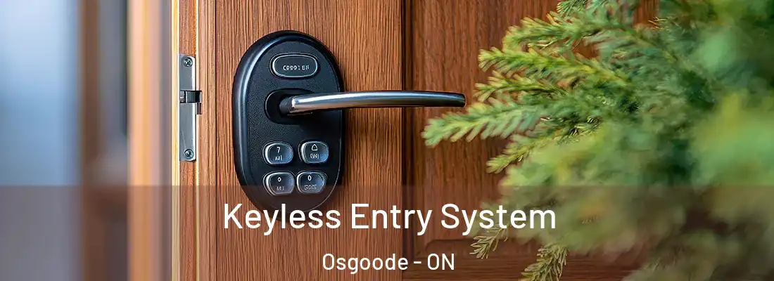 Keyless Entry System Osgoode - ON