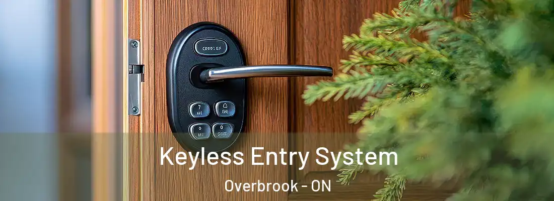  Keyless Entry System Overbrook - ON