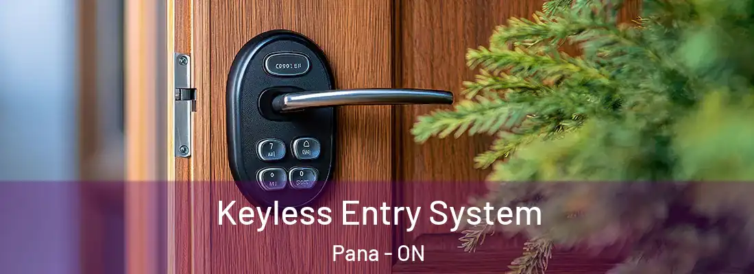  Keyless Entry System Pana - ON