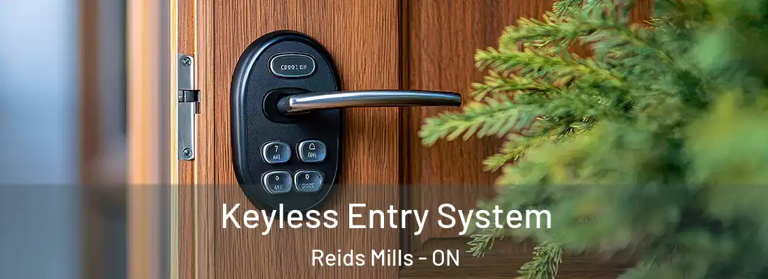  Keyless Entry System Reids Mills - ON