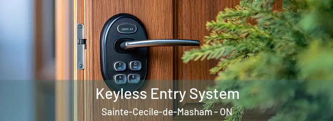  Keyless Entry System Sainte-Cecile-de-Masham - ON