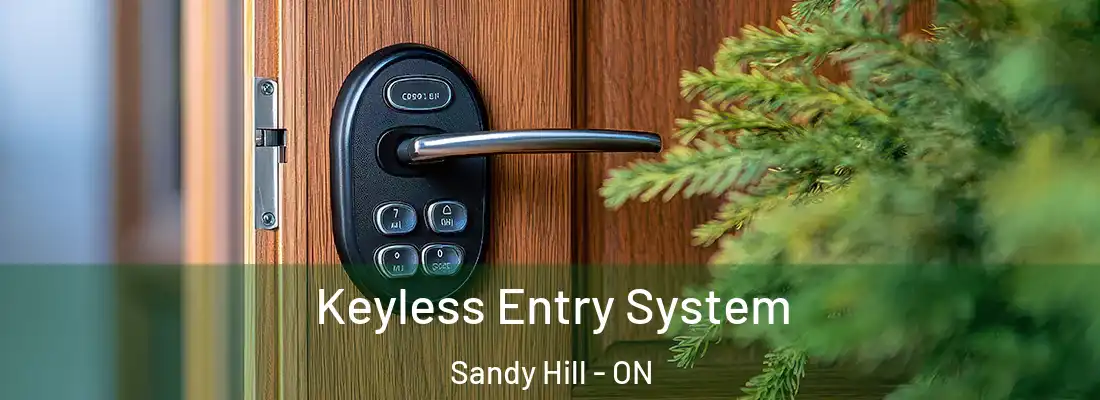  Keyless Entry System Sandy Hill - ON