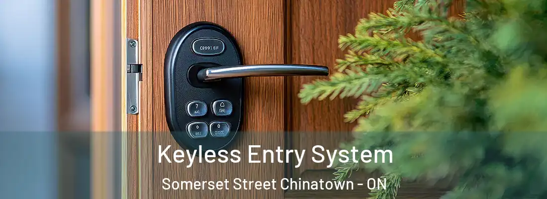  Keyless Entry System Somerset Street Chinatown - ON