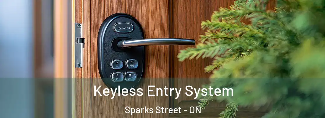  Keyless Entry System Sparks Street - ON