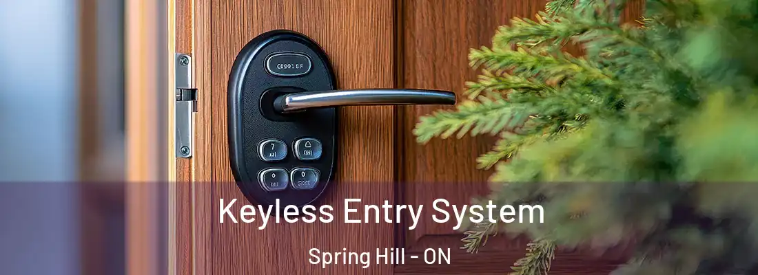  Keyless Entry System Spring Hill - ON