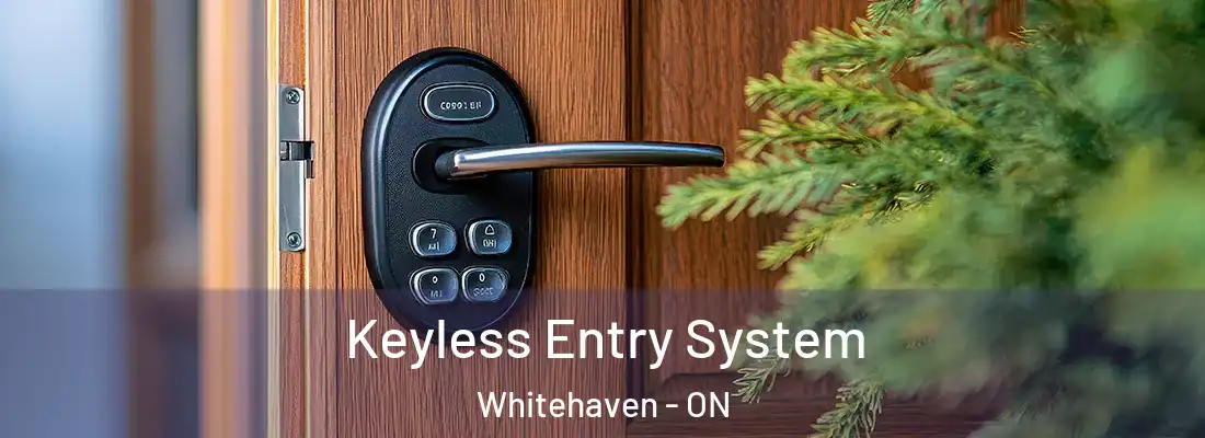  Keyless Entry System Whitehaven - ON