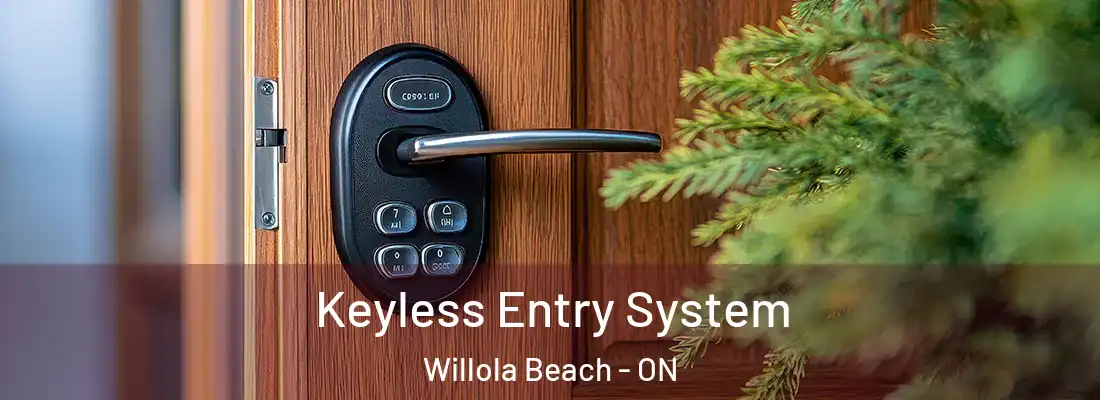  Keyless Entry System Willola Beach - ON