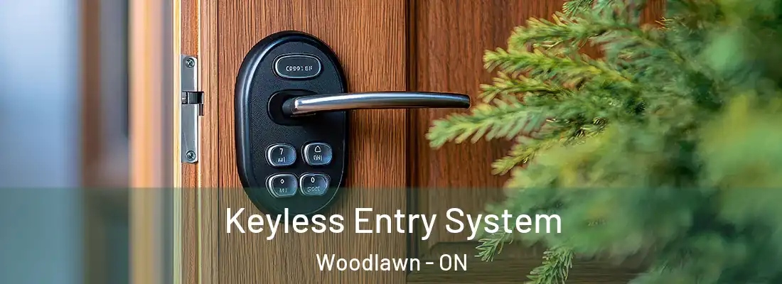  Keyless Entry System Woodlawn - ON