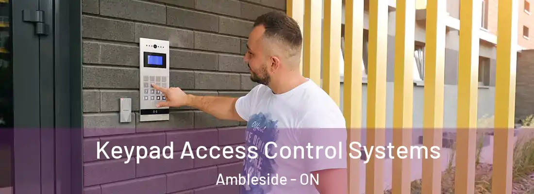  Keypad Access Control Systems Ambleside - ON