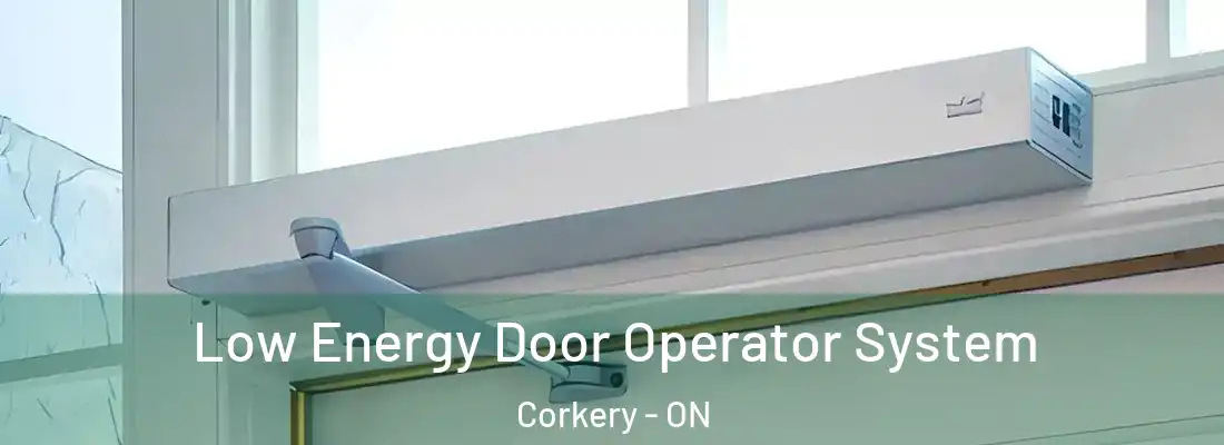  Low Energy Door Operator System Corkery - ON