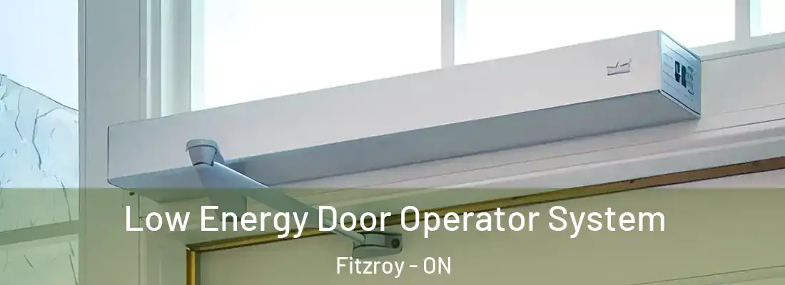  Low Energy Door Operator System Fitzroy - ON