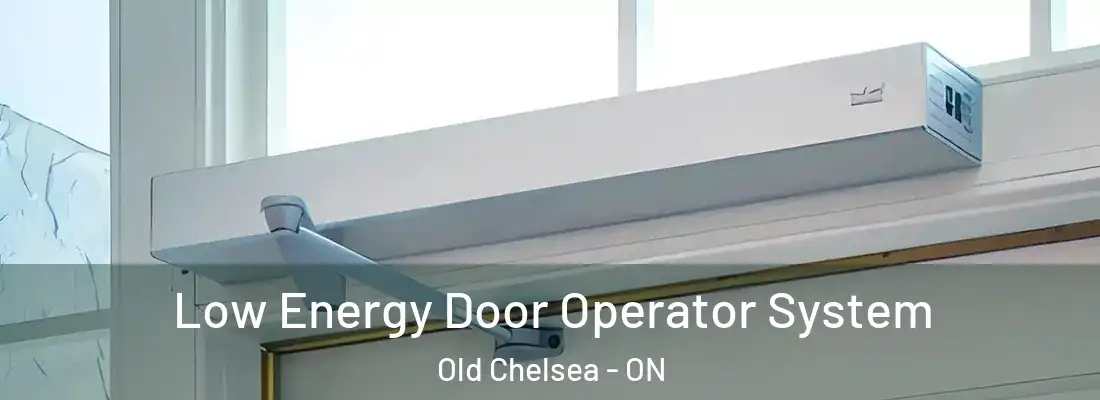  Low Energy Door Operator System Old Chelsea - ON