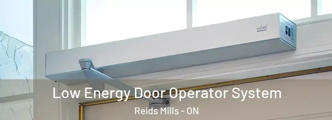  Low Energy Door Operator System Reids Mills - ON