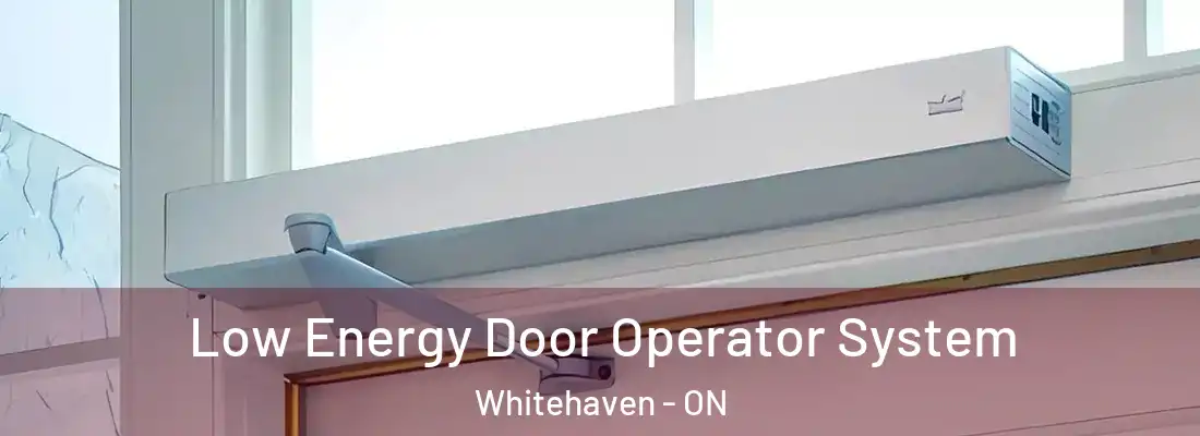  Low Energy Door Operator System Whitehaven - ON