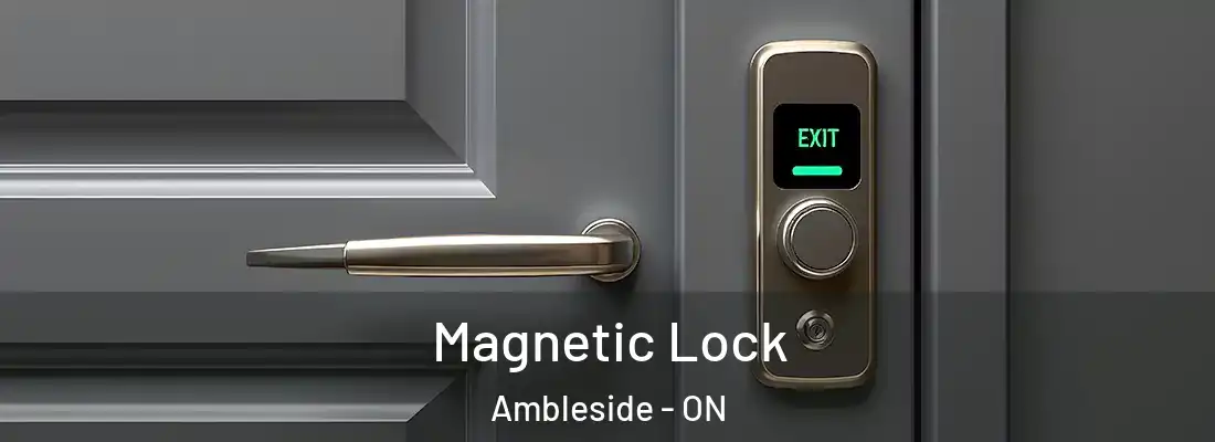  Magnetic Lock Ambleside - ON