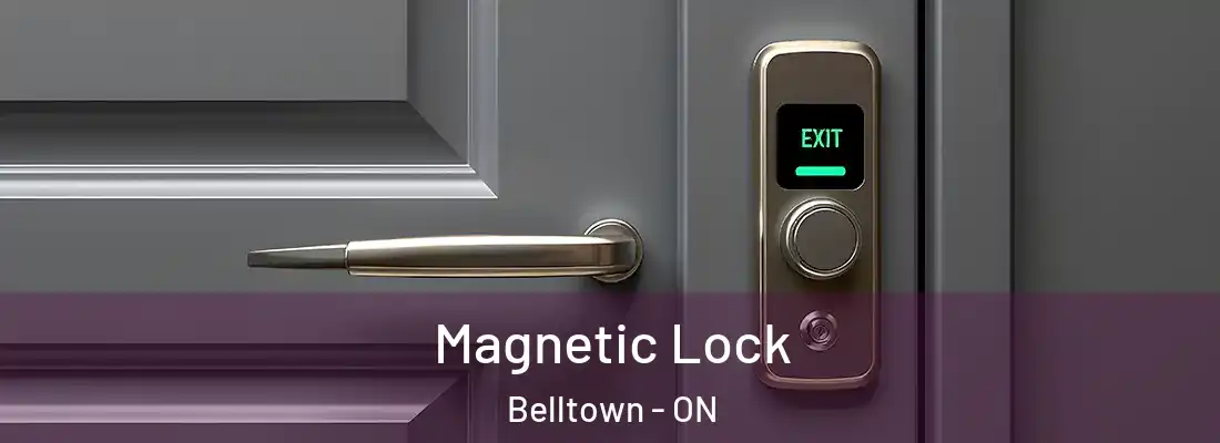  Magnetic Lock Belltown - ON