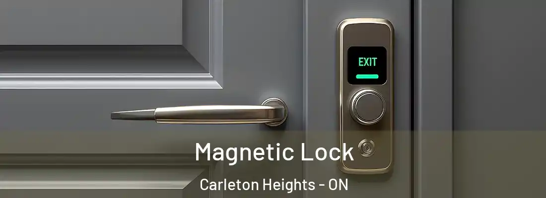  Magnetic Lock Carleton Heights - ON