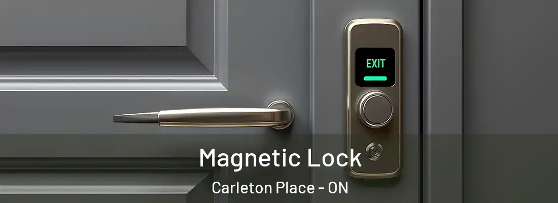  Magnetic Lock Carleton Place - ON