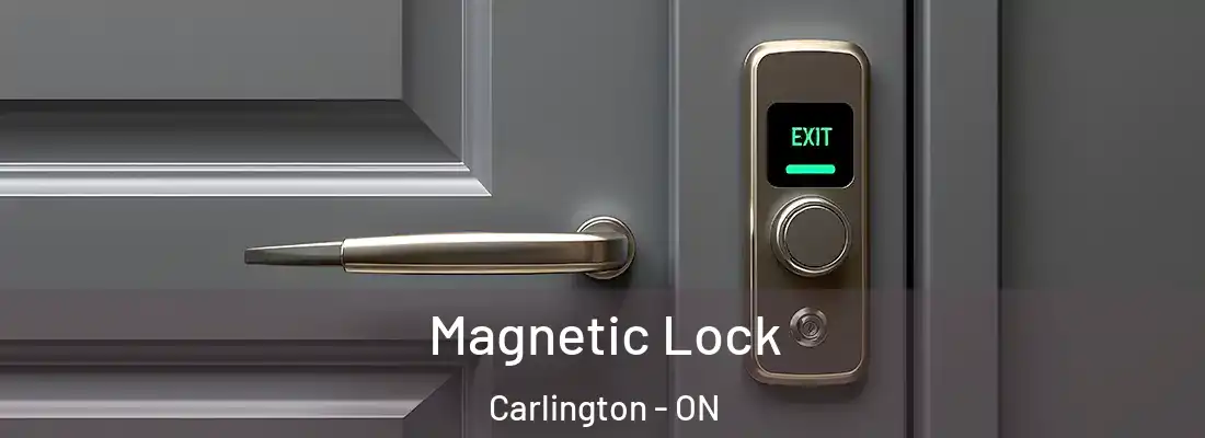  Magnetic Lock Carlington - ON
