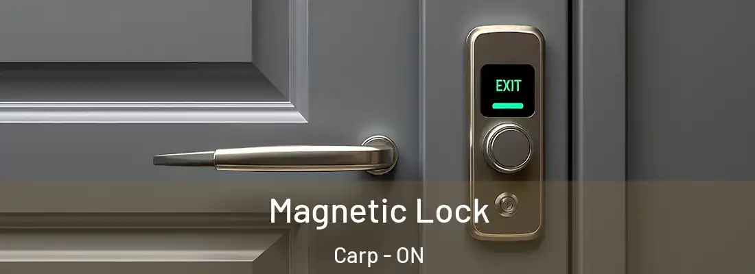  Magnetic Lock Carp - ON