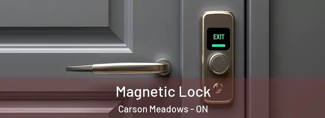  Magnetic Lock Carson Meadows - ON