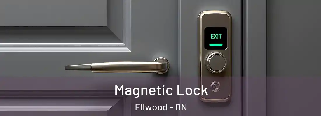  Magnetic Lock Ellwood - ON